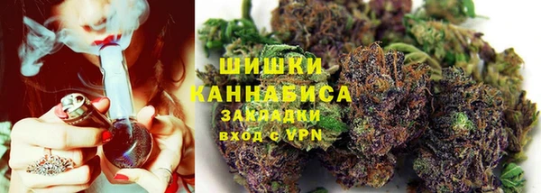 сатива Баксан