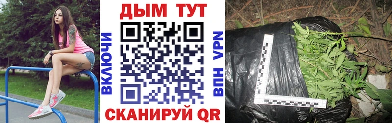 Канабис план  Новозыбков 